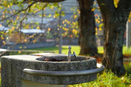 秋の朝の光 秋,朝,朝日の写真素材