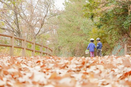 秋の外遊び 外遊び,兄弟,秋の写真素材