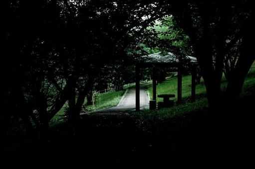 <五島風景>梅雨の早朝の鬼岳樹木園の風景 <五島風景>梅雨の早朝の鬼岳樹木園の風景の写真