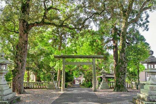 浜松市 気賀 細江神社境内(静岡) 浜松市 気賀 細江神社境内(静岡)の写真