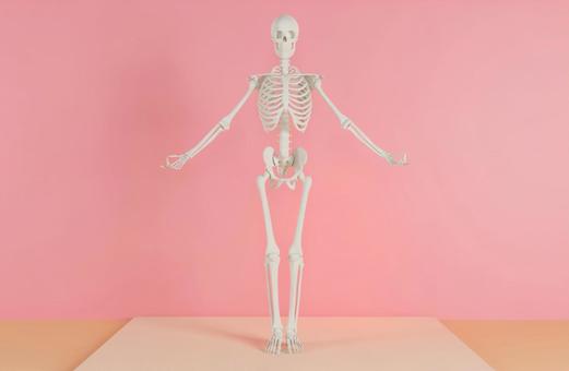 Skeleton F who decides yoga pose Skeleton F who decides yoga pose