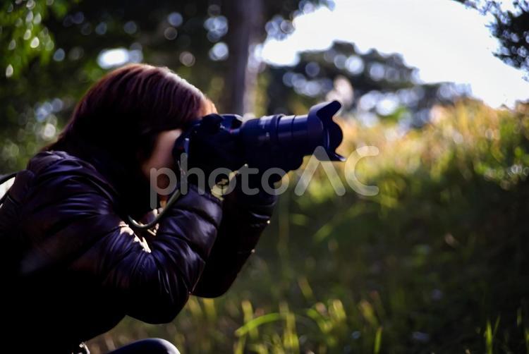 ※※＜人物＞森の中で野鳥を撮影をする女性 女性,人物,風景の写真素材