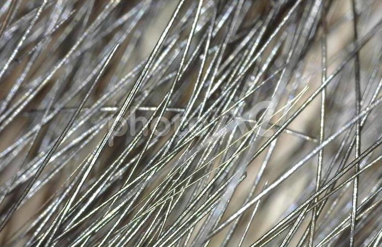 マイクロスコープで見た髪の毛 白髪,マイクロスコープ,頭皮の写真素材