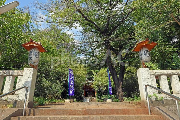 芝東照宮（港） 芝東照宮,源誉存心,安国殿の写真素材