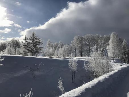 冬の雪山と木 景色,北海道,冬の写真素材
