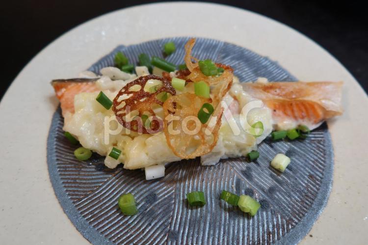 サーモンのメインディッシュ（アップ） サーモン,ムニエル,洋風の写真素材