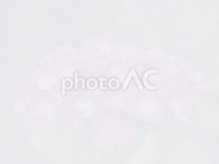 グレーの背景素材・花の透かし模様 背景素材,花,グレーの写真素材