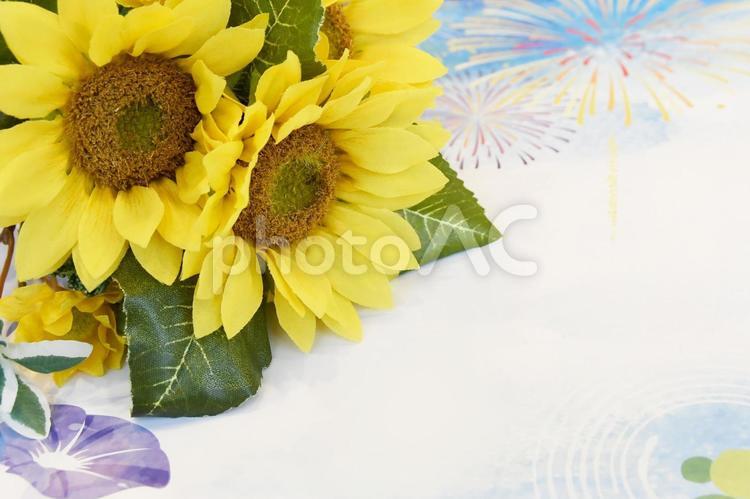 夏のイメージ ひまわり,花火,アサガオの写真素材