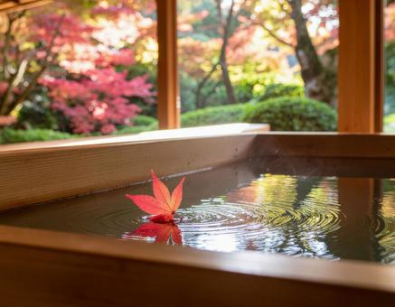 温泉に浮かぶ紅葉の一枚 温泉に浮かぶ紅葉の一枚の写真