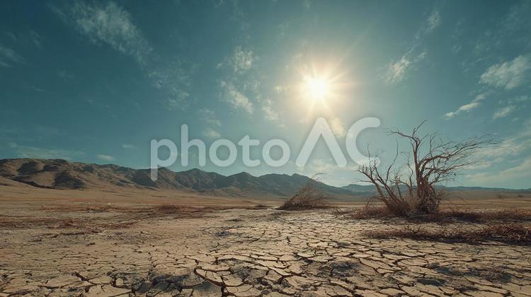 灼熱の太陽が照りつける乾燥した砂漠の風景 砂漠,乾燥,荒野の写真素材