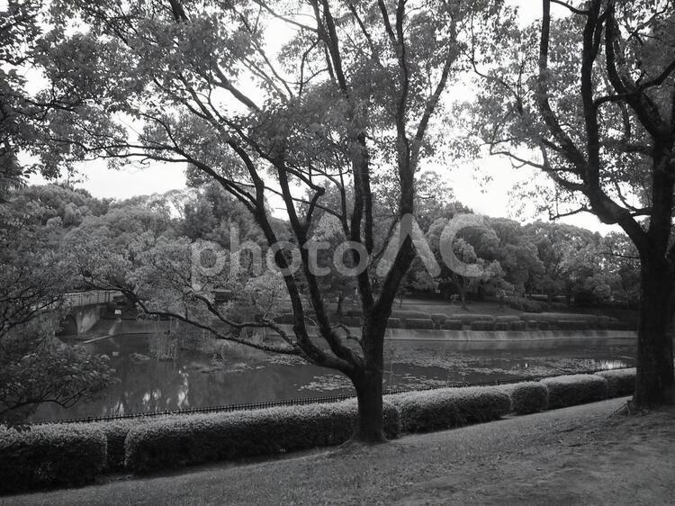 自然の風景 自然,風景,景色の写真素材