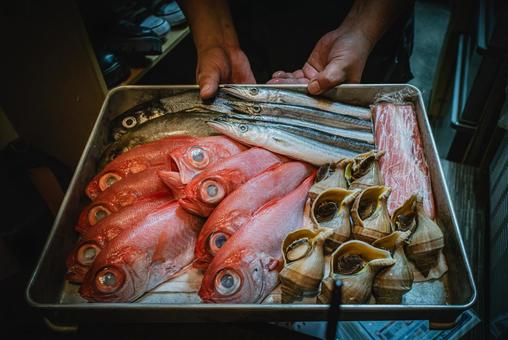 和食料理店の本日の海鮮 海鮮,材料,和食の写真素材