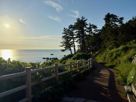 福井県東尋坊 日本海の見える遊歩道 福井県東尋坊 日本海の見える遊歩道の写真