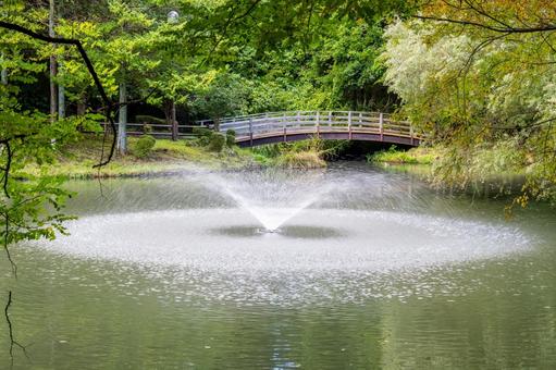 公園の風景⑽ 公園,木々,緑の写真素材