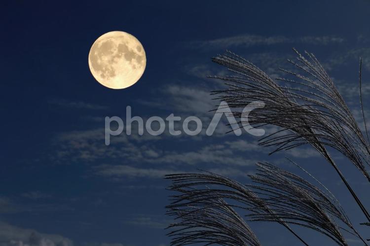 十五夜　秋の風景 月,十五夜,満月の写真素材