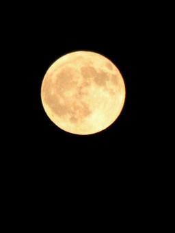 満月の夜 満月の夜の写真