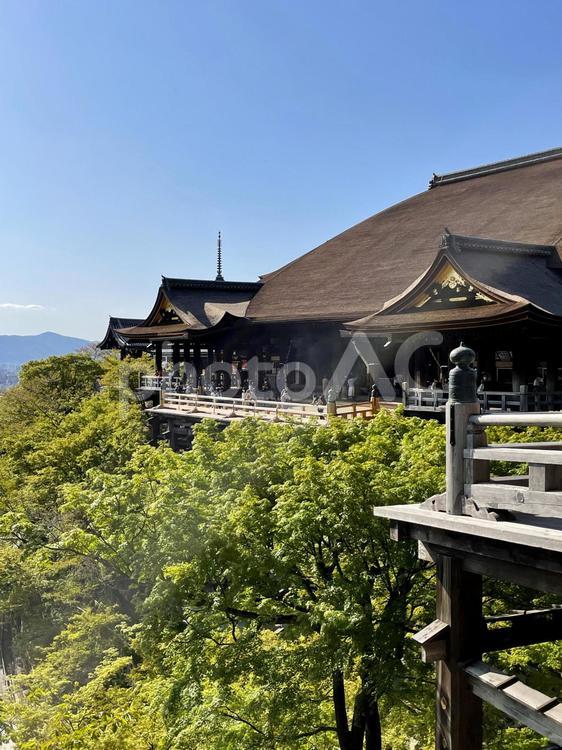 京都・清水寺・清水の舞台 京都,清水寺,清水の舞台の写真素材