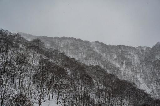 谷川岳ロープウェイから見た景色 谷川岳ロープウェイから見た景色の写真
