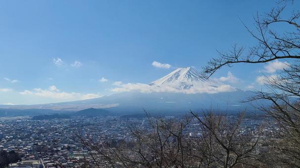 雪化粧 富士山 雪化粧 富士山 富士山,青空,山の写真素材