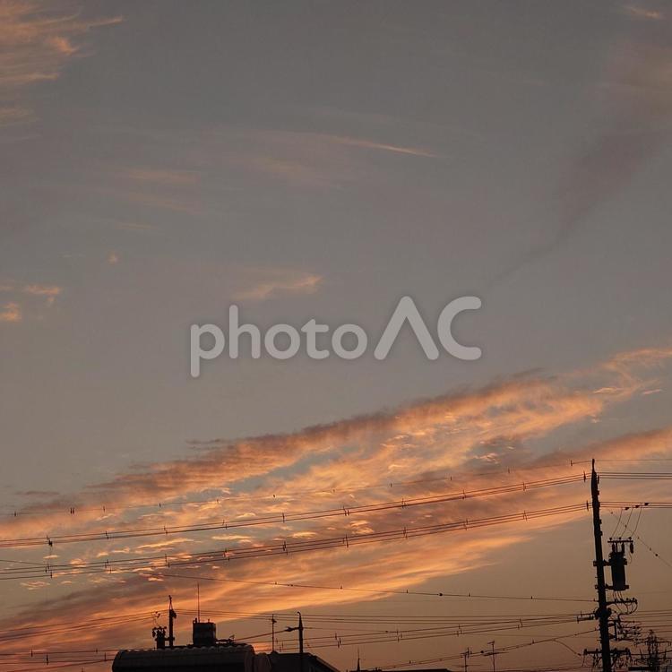 眩しい早朝の美しい空模様 空,早朝,朝の写真素材