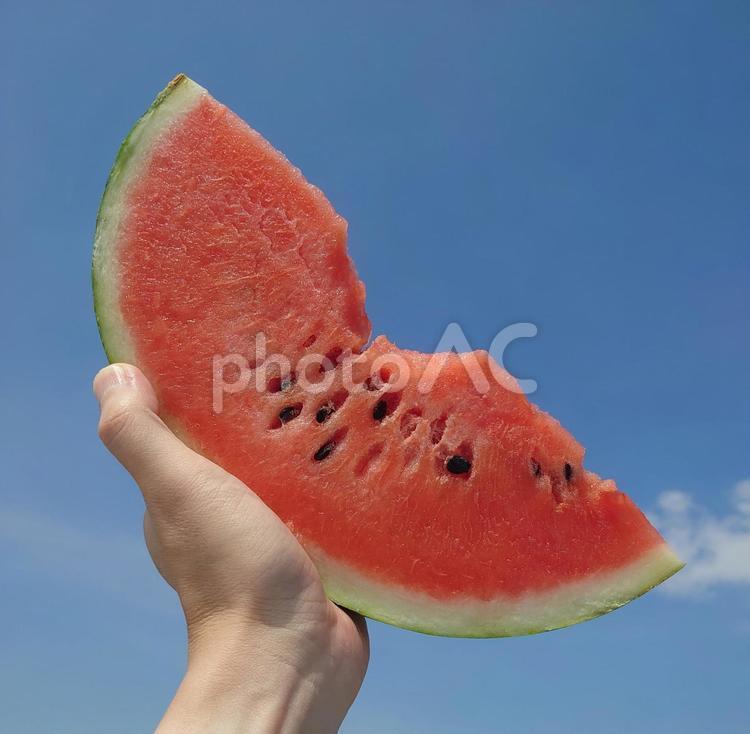 夏をガブっと！スイカの一番おいしい食べ方 スイカ,果物,西瓜の写真素材