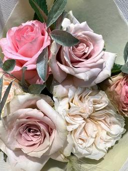 バラのブーケ バラ,花,ブーケの写真素材