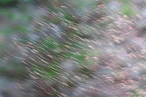流れる光 流れる光の写真
