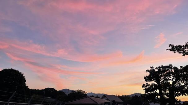 ピンクの空 ピンクの空の写真