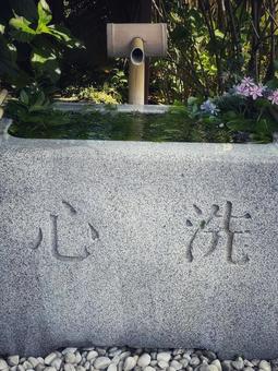 東京都杉並区にある猿田彦神社の御手水 東京都杉並区にある猿田彦神社の御手水の写真