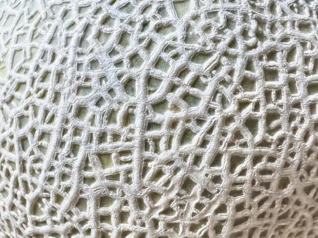 マスクメロンのアップ メロン,網目,網模様の写真素材