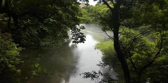 柿田川公園 第1展望台 柿田川公園 第1展望台の写真