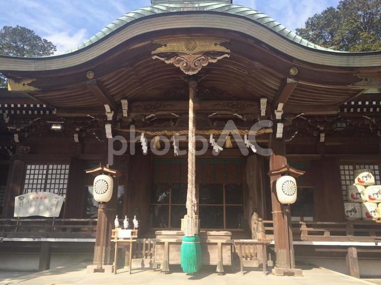 大麻比古神社 本殿の荘厳な佇まい 大麻比古神社,神社,本殿の写真素材