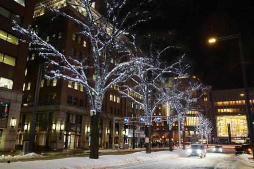 サッポロホワイトイルミネーション 札幌駅,ホワイトイルミネーション,新千歳空港の写真素材