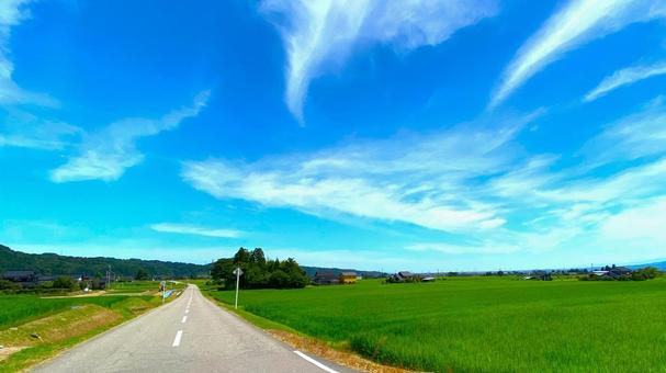 夏の田園風景(富山・南砺市):7 夏の田園風景(富山・南砺市):7 田,田園,田んぼの写真素材