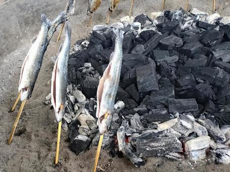 虹鱒の塩焼き 虹鱒の塩焼き 自然,アウトドア,野外活動の写真素材