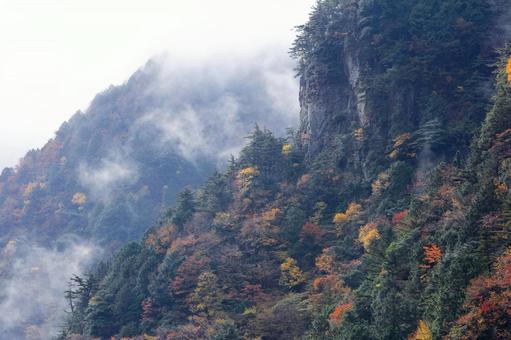 雨上がりの天川村みたらい渓谷　紅葉 みたらい渓谷,天川村,秋の写真素材