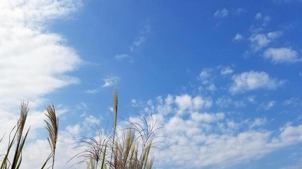 照片, JPG 照片, ว่างเปล่า, ท้องฟ้าสีฟ้า, ซางญี่ปุ่น, JPG