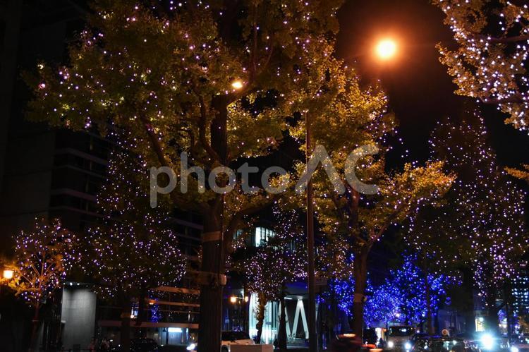2022御堂筋イルミネーション 御堂筋,イルミネーション,夜景の写真素材