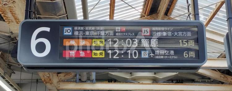 大船駅6番線　発車案内 発車案内,湘南新宿ライン,珍しいの写真素材