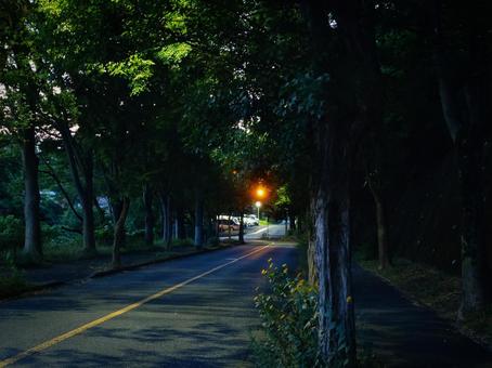 日没で暗い道路 日没で暗い道路の写真