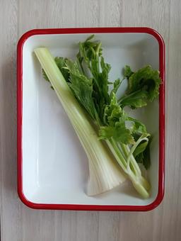 半分に切ったセロリ 半分に切ったセロリの写真
