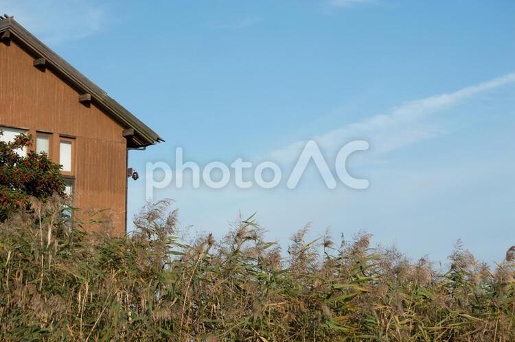 青空と小屋の風景 風景,青空,小屋の写真素材