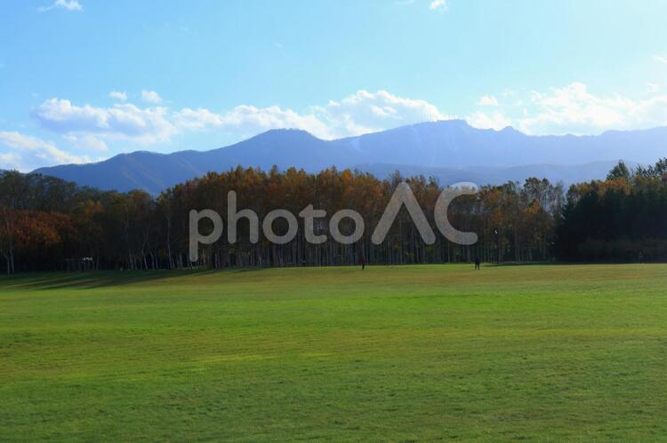 秋の前田森林公園7 公園,前田森林公園,北海道の写真素材