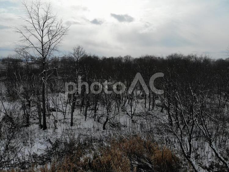 冬の河川敷 冬,雪,田舎の写真素材