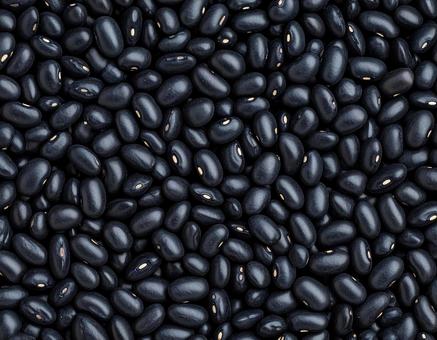 黒いインゲン豆の集合 黒いインゲン豆の集合の写真