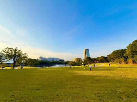 芝生が美しい夕方の多摩中央公園 芝生が美しい夕方の多摩中央公園 青空,空,ブルースカイの写真素材