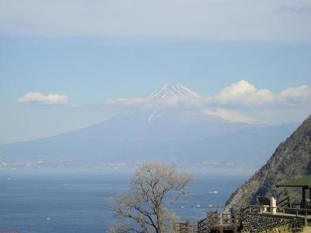 西伊豆・富士山 西伊豆・富士山の写真