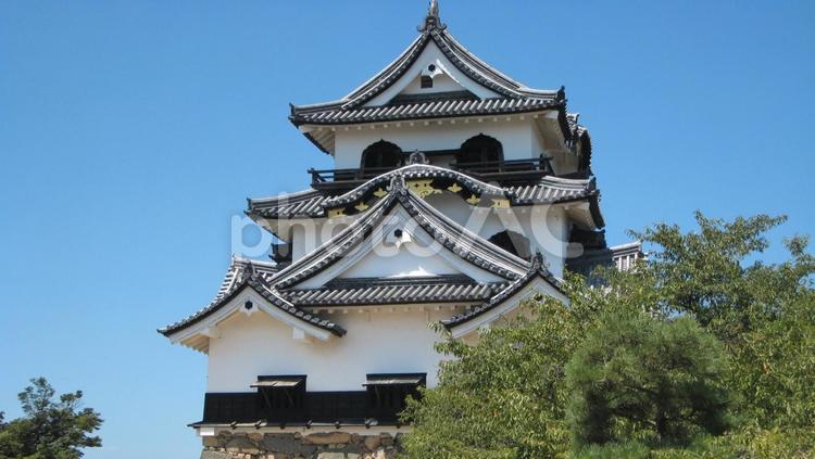 彦根城の天守閣 彦根城,天守閣,彦根の写真素材