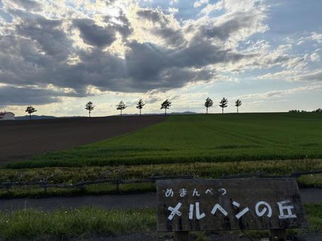 メルヘンの丘 メルヘンの丘の写真