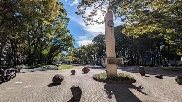 名古屋白川公園 名古屋白川公園 名古屋,都会,風景の写真素材